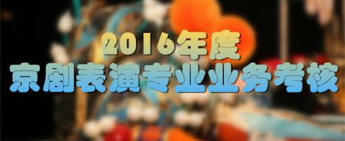 日美女插插BB国家京剧院2016年度京剧表演专业业务考...